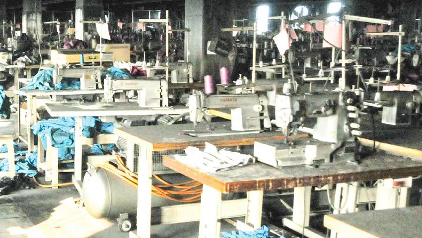 uploads/trade_daily/digest_photo_s_alo__1783491985.jpg